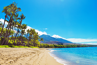 One of Hawaii's World Class Beaches